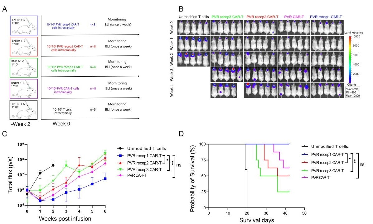 欧博abg - 官方网址登录入口