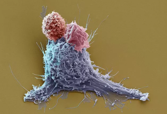 欧博abg - 官方网址登录入口