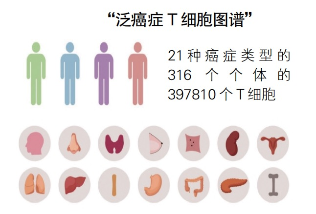 欧博abg - 官方网址登录入口